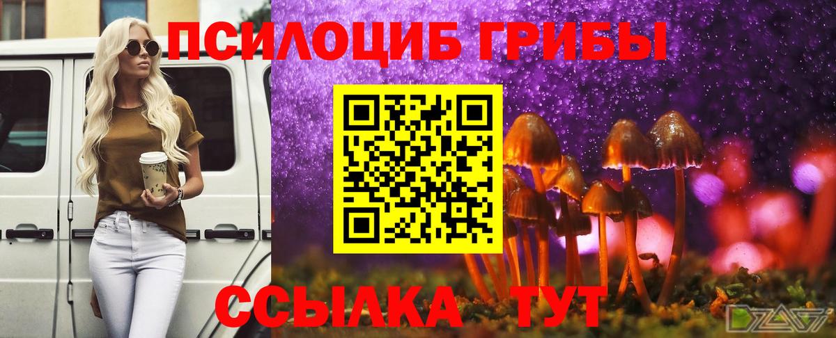Галлюциногенные грибы GOLDEN TEACHER  Вход с VPN  купить наркотик  Кстово 